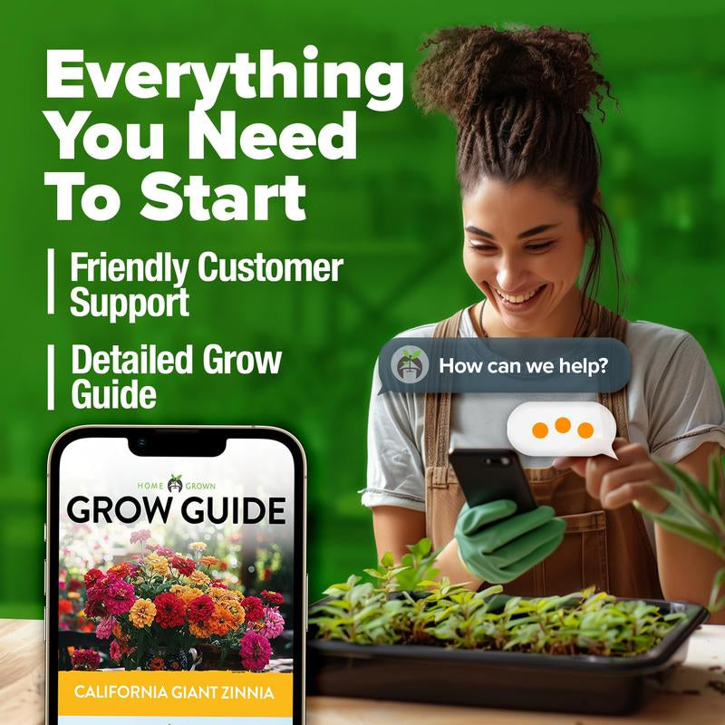 Zinnia Seeds - Pure Seeds - No Filler - USA Heirloom Flower Seeds