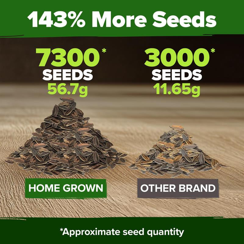 Zinnia Seeds - Pure Seeds - No Filler - USA Heirloom Flower Seeds