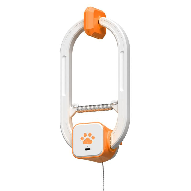Interactive Electric Cat Teaser with Remote - Rechargeable, 360° Rotation & Irregular Jumping - Stimulate Your Cat's Mind & Body - Perfect for Christmas Gifts!