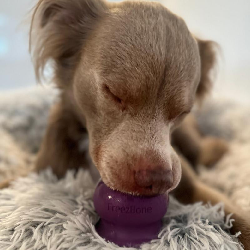 Freezball - Ultimate Durable Chew Bone for Hours of Dog Fun!
