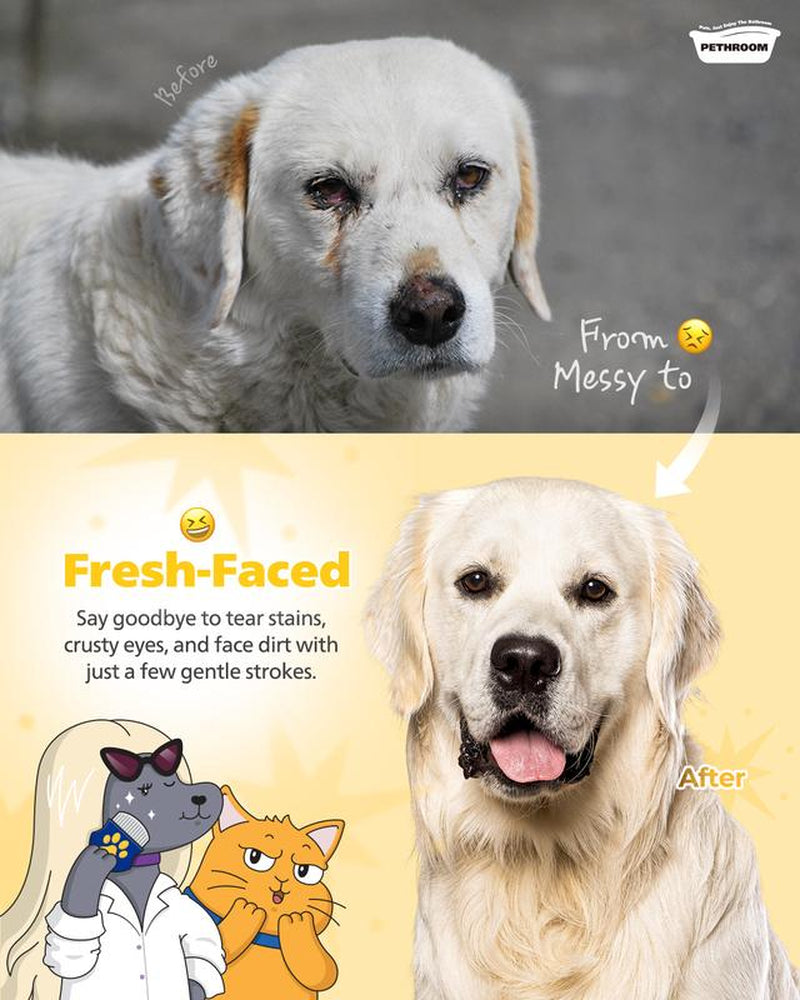 PETHROOM Pet Eye Comb - Easy Facial Grooming Tool for Cats and Dogs