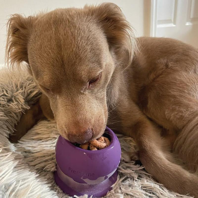 Freezball - Ultimate Durable Chew Bone for Hours of Dog Fun!